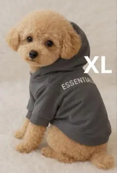 Item thumbnail for item 726baeb6-13d8-4bda-b17a-1d7b277e9f3b