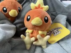 Pokémon fit アチャモ ぬいぐるみ