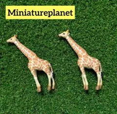 Miniatureplanet　ミニチュアプラネット　アミメキリンのサムネイル