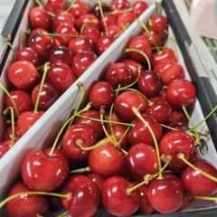 画像が現物 贈答用 やまがた紅王 1kgバラ詰め - メルカリ