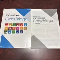 Cross Bridge 時事×SDGs Ver.2