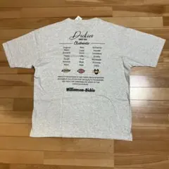 Item thumbnail for item 8c8c70d0-3436-4105-a675-062ea4abfd30