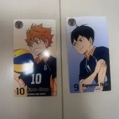 ハイキュー‼︎ 日向翔陽　影山飛雄　カードセット ゴミ捨て場の決戦展　ひなかげ