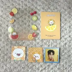 ジェオチャム Bira トレカホルダー Amazon | JOCHUM Bira ビラ 佐藤景瑚 トレカケース | トレカ 通販