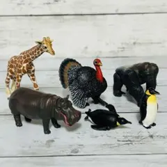 【即購入大歓迎】アニア　動物フィギュア　6体セット
