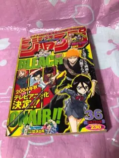 週刊少年ジャンプ 2010年 11号 BLEACH巻頭カラー エース最後回 - メルカリ