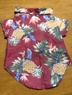 Item thumbnail for item 5c81f1ee-01f9-4f4c-b74b-87f3180ab79c