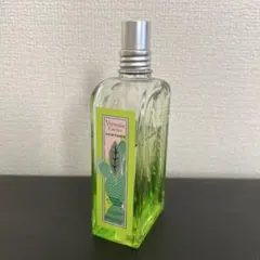 2025年最新】アクアカクタスヴァーベナの人気アイテム - メルカリ