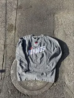 ICE DAWGS 90s us 古着　スウェット　トレーナー　ヘビー　アメリカ