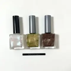 addiction ネイルポリッシュ３本+マグネットスティック付きのサムネイル