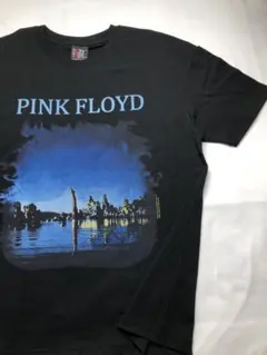希少‼️90s pink floyd ピンクフロイド バンド アーティスト M L 古着 90s Pink Floyd 「The Dark Side Of The Moon」 狂気