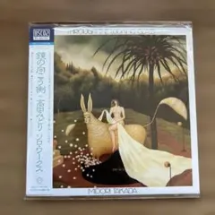 骨皮筋衛門様 リクエスト 4点 まとめ商品