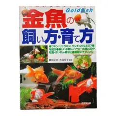 Item thumbnail for item 3dc995fe-16eb-414c-949c-b0fcafcbe56a