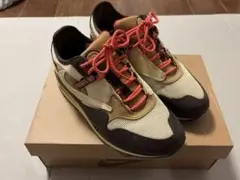 Nike Air Max 1 CACT.US Brown