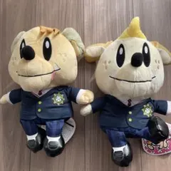 GENERATIONS GENE犬　ジェネ犬　白濱亜嵐　小森隼