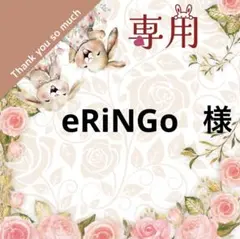 eRiNGo様 リクエスト 2点 まとめ商品
