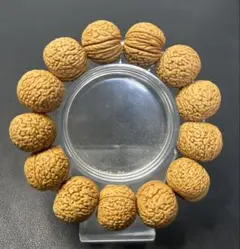 Item thumbnail for item 6d6c1100-ef76-496d-a713-e8b6bc40e920