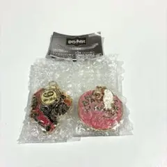 ハリー・ポッター ダイキャストダブルチャームコレクション　2種