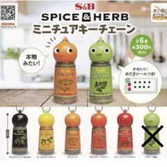 【5個セット】S＆B エスビー SPICE&HERB ミニチュアキーチェーン