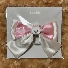 Stray Kids♥️SKZOOライトスティックリボン Leebit