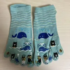 クジラと猫のイラスト 五本指ソックス