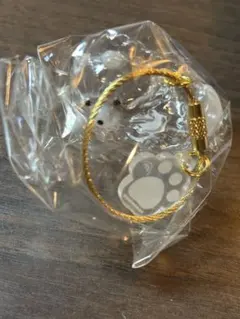 うちの子のけだまだ犬のけだまだま ポメラニアン