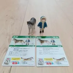 doronpa様 リクエスト 2点 まとめ商品