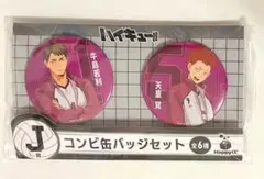 ハイキュー　happyくじ　J賞　コンビ缶バッジセット