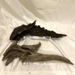 天然流木no.13サイズM2本セット