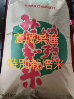 令和7年度宮城県産　特別栽培米　1等米ひとめぼれ　玄米白米5kg　送料無料のサムネイル