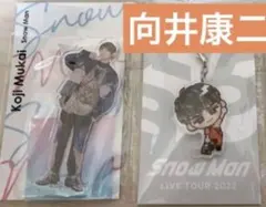 向井康二 アクスタ スノチル アクキー キーホルダーsnowman