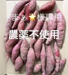 まぁ⭐️様　専用