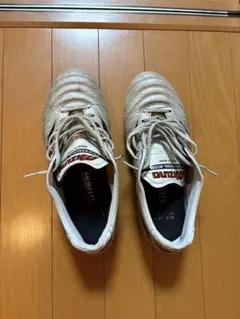 モレリア2ジャパン