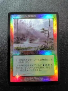 MTG ラノワールの荒原　FOIL 2026年最新】ラノワールの荒原 FOILの人気アイテム - メルカリ