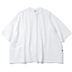 is-ness SWITCHING MOSS T-SHIRT ホワイト Mサイズ