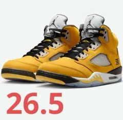 Nike Air Jordan 5 Retro Tokyo 23 (2025)