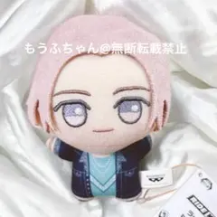 ライドカメンズ 海羽静流 ちびぐるみ vol.3 11cm ぬいぐるみ