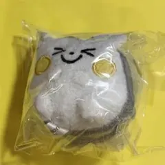 MAZZEL EIKI メンプロ えいにゃんこチャーム - メルカリ