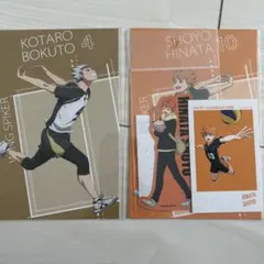 ハイキュー 日向翔陽 木兎光太郎 セット