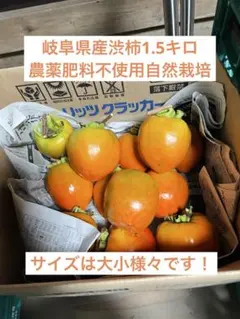 2026年最新】苗木・植木 果樹の人気アイテム - メルカリ