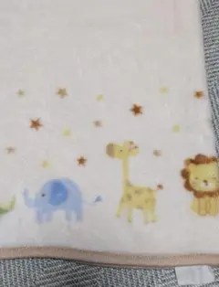 Item thumbnail for item 1e52ca3e-392b-465c-8276-06bcce17ff1c