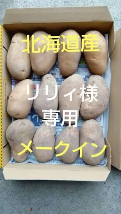 リリィ様　専用　北海道産　メークイン　 越冬じゃがいも　箱込2.6kg