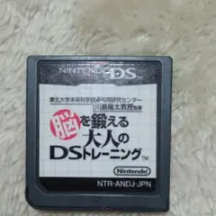 Nintendo DSカセット