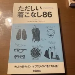 超美品✨ただしい着こなし86