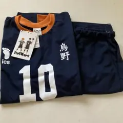 早い者勝ち　ハイキュー　　鳥野　L しまむら