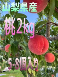 【川中島白桃】桃2kg 訳あり品のサムネイル
