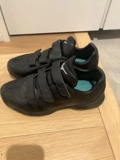 Item thumbnail for item e3bb9a1d-7ab7-45e6-a004-366d688ec91d