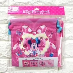 ミニー パルパルーザ ミニーのファンダーランド きんちゃく 巾着 2枚 ポーチ