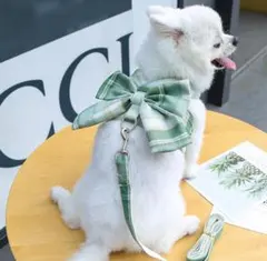 Item thumbnail for item 68ce5e94-2ae9-4687-8dba-ed3ec8215013