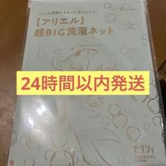 【未開封】 ゼクシィ 4月号 付録 アリエル 超BIG洗濯ネット